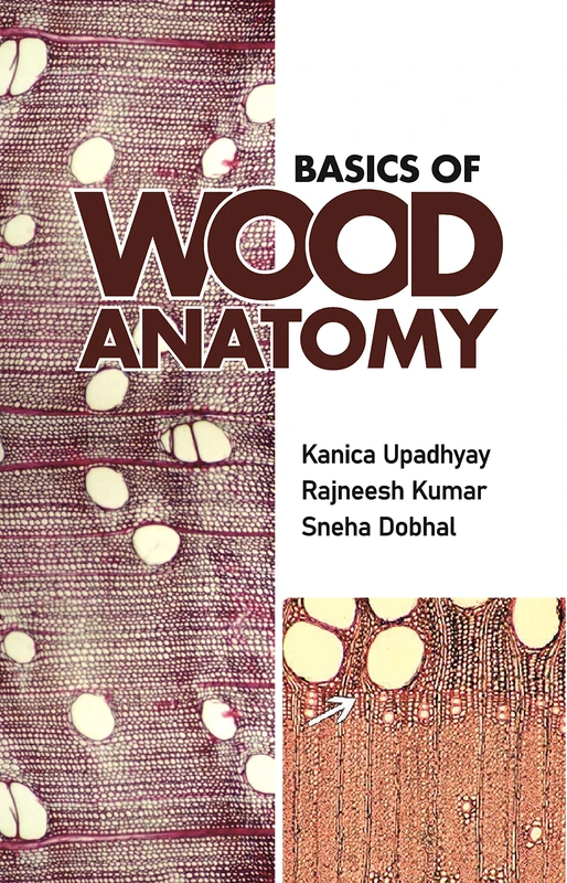 Basics of Wood Anatomy