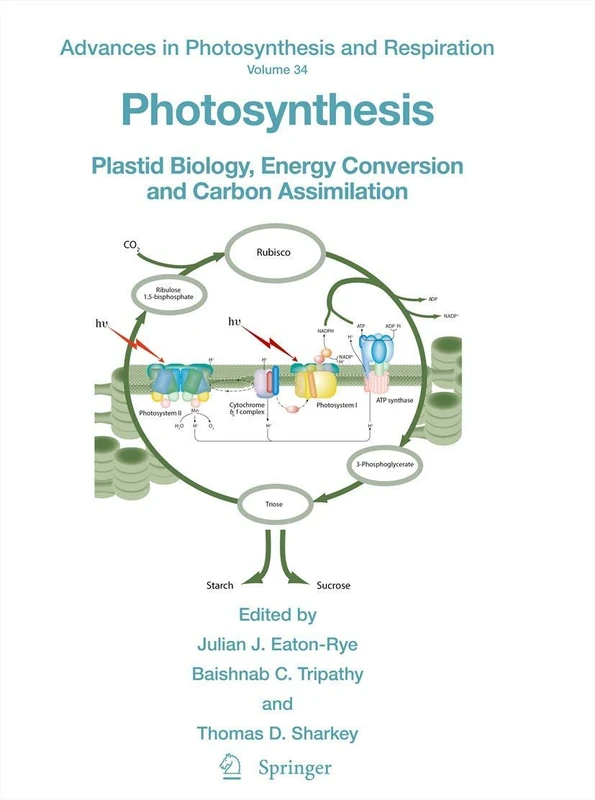 Photosynthesis: Plastid Biology, Energy Conversion and Carbon Assimilation: 34 (Advances in Photosynthesis and Respiration, 34)