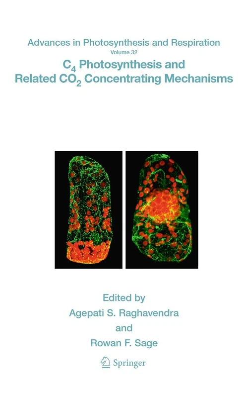 C4 Photosynthesis and Related CO2 Concentrating Mechanisms: 32 (Advances in Photosynthesis and Respiration, 32)