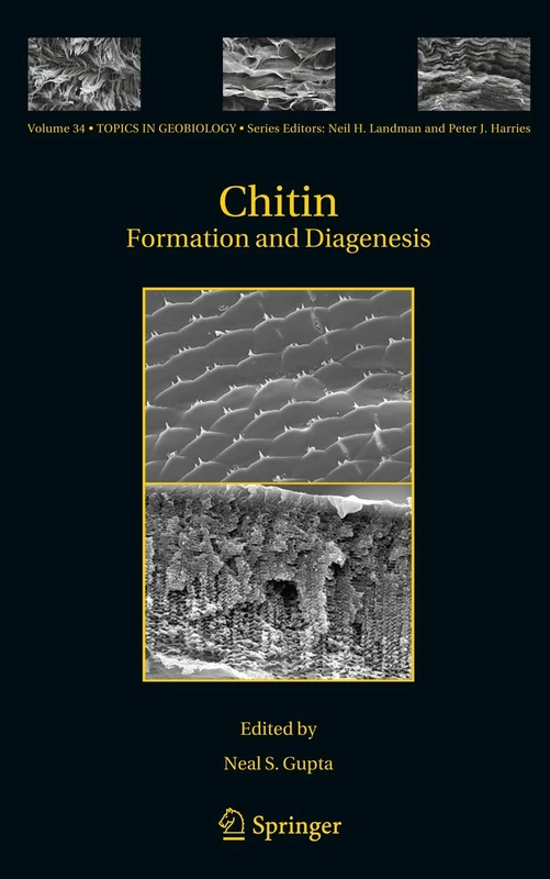 Chitin: Formation and Diagenesis: 34 (Topics in Geobiology, 34)