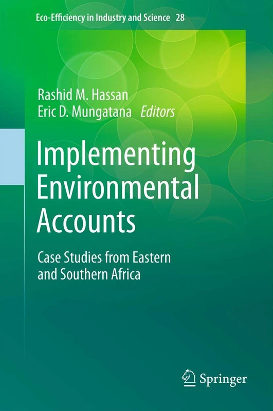 Implementing Environmental Accounts: Case Studies from Eastern and Southern Africa: 28 (Eco-Efficiency in Industry and Science, 28) - Image 1