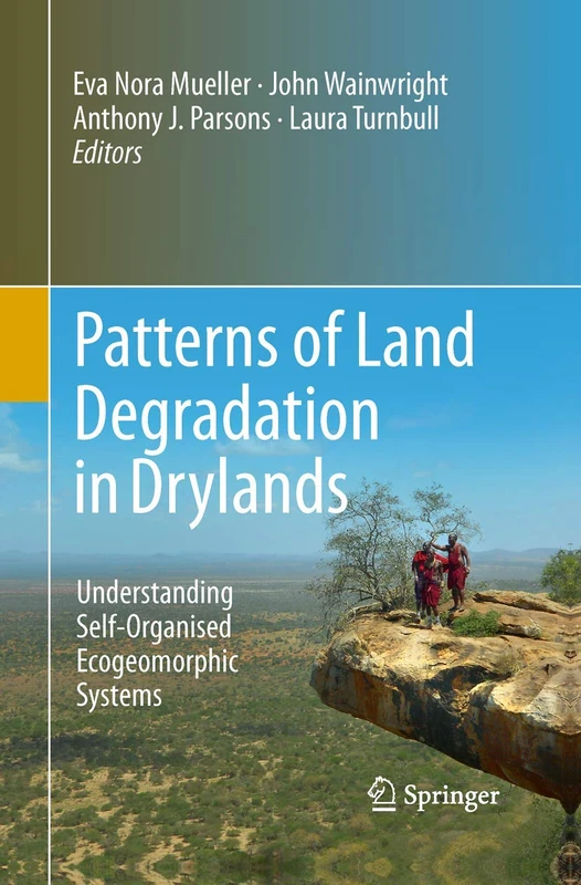 Patterns of Land Degradation in Drylands: Understanding Self-Organised Ecogeomorphic Systems