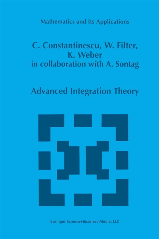 Springer Advanced Integration Theory: 454 Mathematics Book