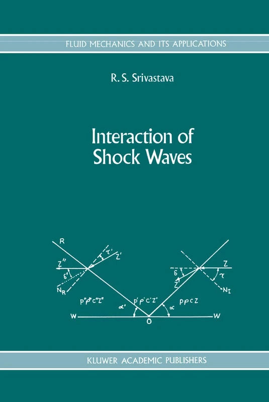 Interaction of Shock Waves: 22 (Fluid Mechanics and Its Applications, 22)