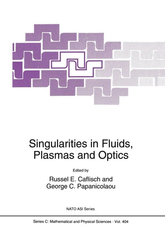 Singularities in Fluids, Plasmas and Optics: 404 (Nato Science Series C:, 404)