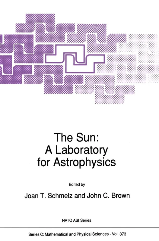 The Sun: A Laboratory for Astrophysics: A Laboratory for Astrophysics (Nato Science Series C: (closed)): 373