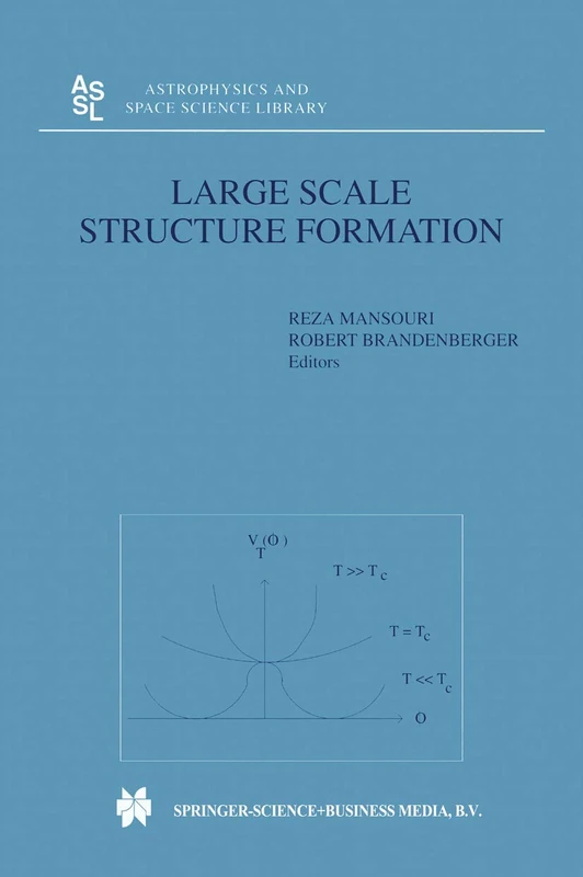 Large Scale Structure Formation: 247 (Astrophysics and Space Science Library, 247)
