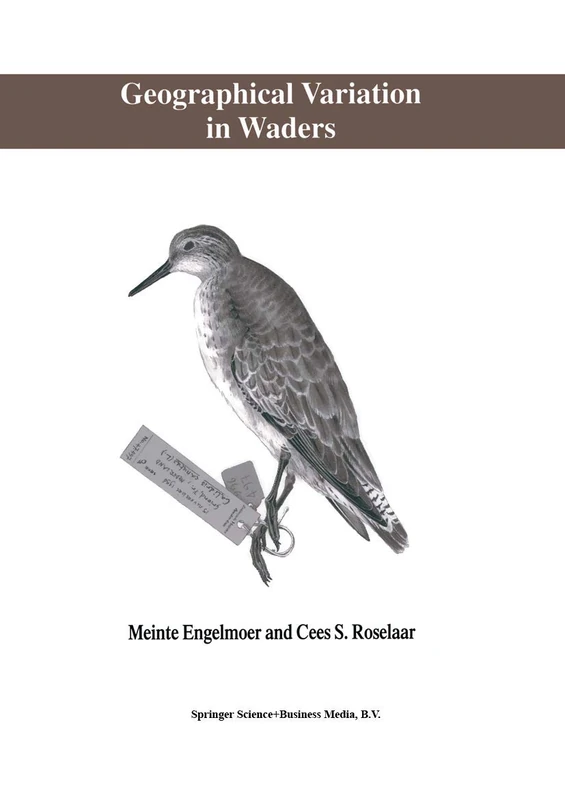 Geographical Variation in Waders - Image 1