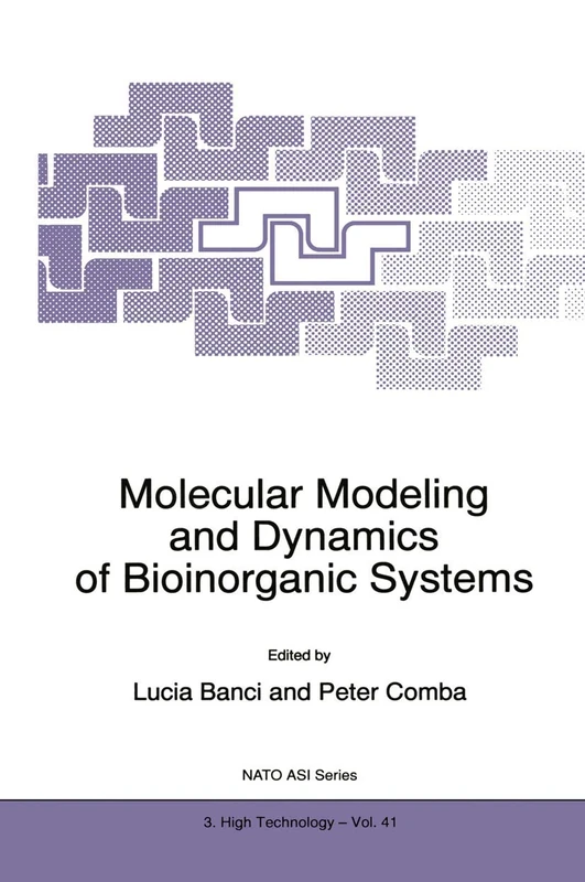 Molecular Modeling and Dynamics of Bioinorganic Systems: 41 (NATO Science Partnership Subseries: 3, 41)
