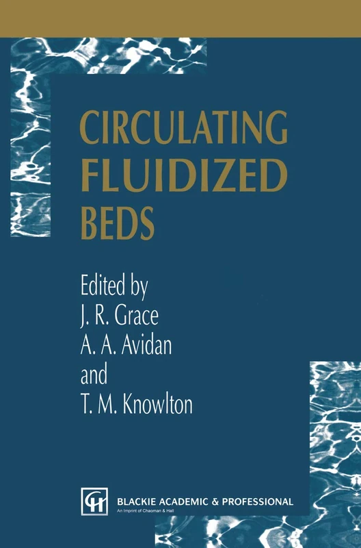 Circulating Fluidized Beds