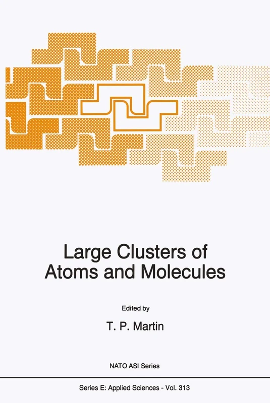 Large Clusters of Atoms and Molecules: 313 (NATO Science Series E:, 313)