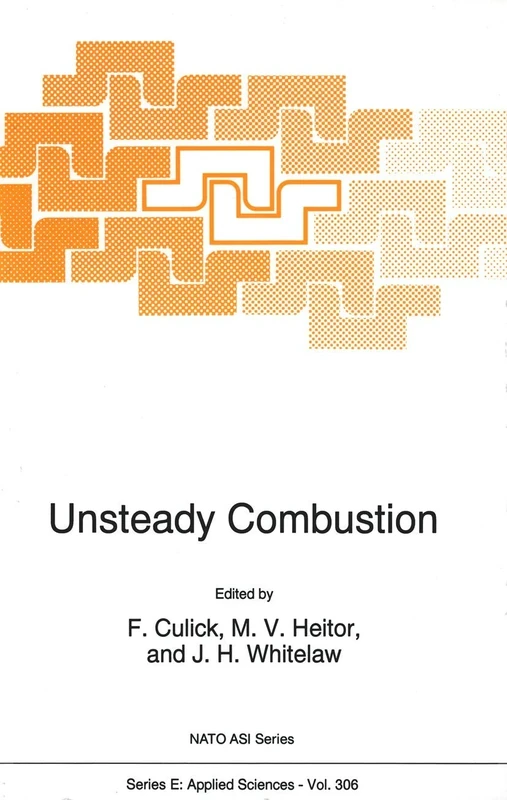Unsteady Combustion: 306 (NATO Science Series E:, 306)
