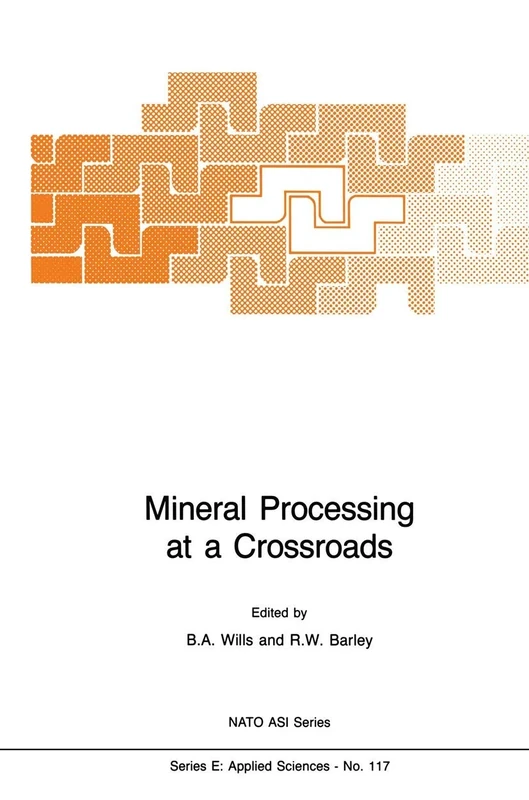 Mineral Processing at a Crossroads: Problems and Prospects: 117 (NATO Science Series E:, 117)