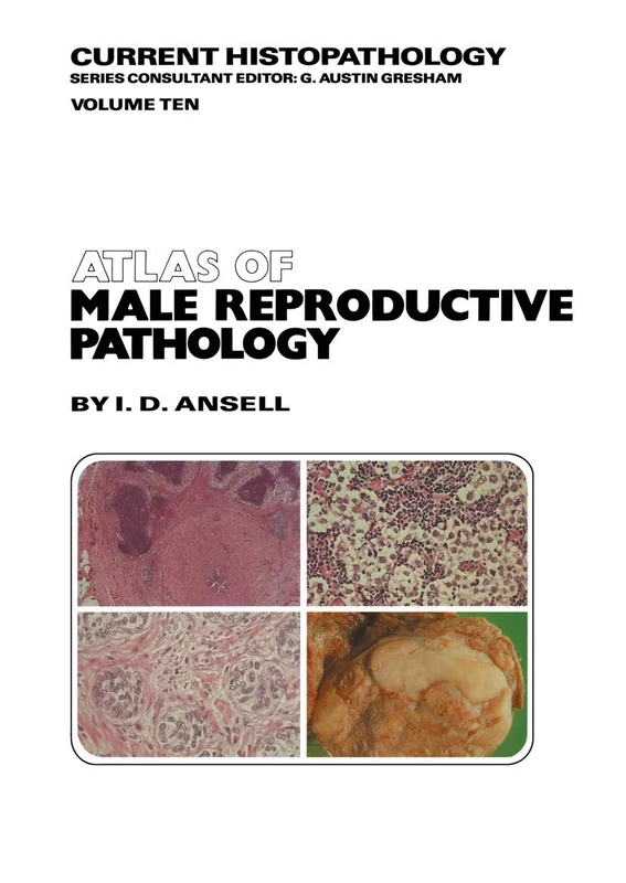 Atlas of Male Reproductive Pathology: 10 (Current Histopathology, 10)