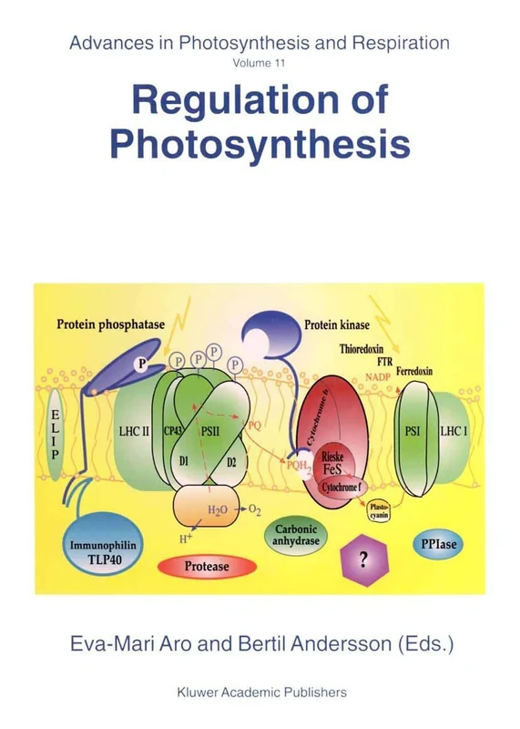 Regulation of Photosynthesis: 11 (Advances in Photosynthesis and Respiration, 11)