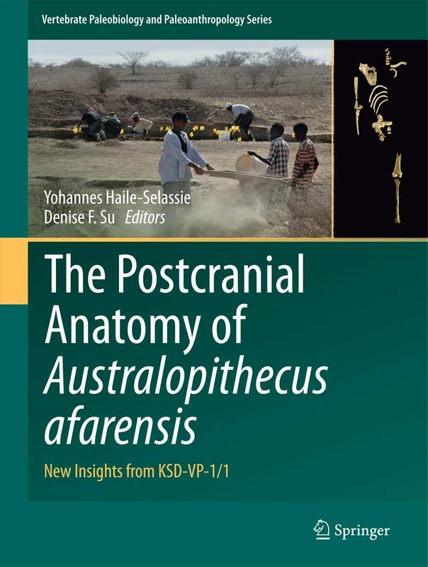 The Postcranial Anatomy of Australopithecus afarensis: New Insights from KSD-VP-1/1: 0 (Vertebrate Paleobiology and Paleoanthropology)