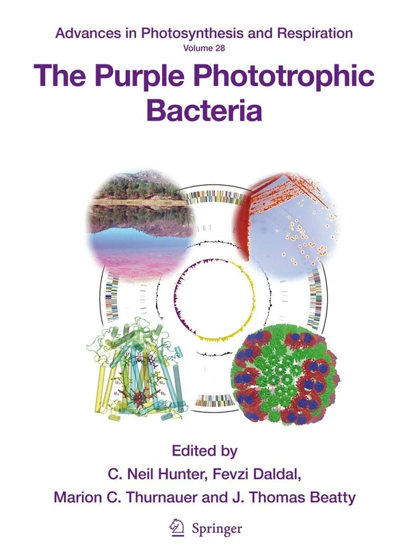 The Purple Phototrophic Bacteria: 28 (Advances in Photosynthesis and Respiration, 28)