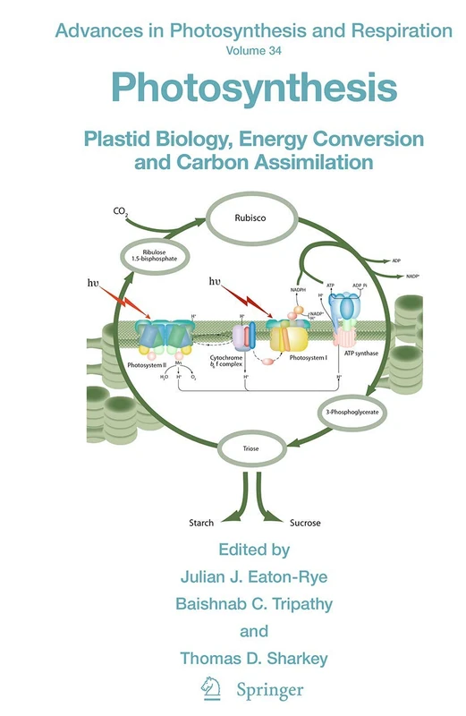 Photosynthesis: Plastid Biology, Energy Conversion and Carbon Assimilation: 34 (Advances in Photosynthesis and Respiration, 34)