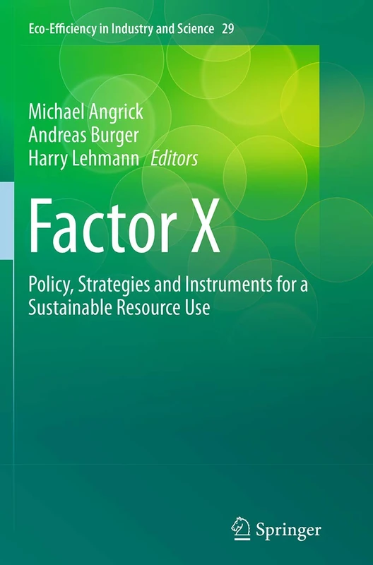 Factor X: Policy, Strategies and Instruments for a Sustainable Resource Use: 29 (Eco-Efficiency in Industry and Science, 29)
