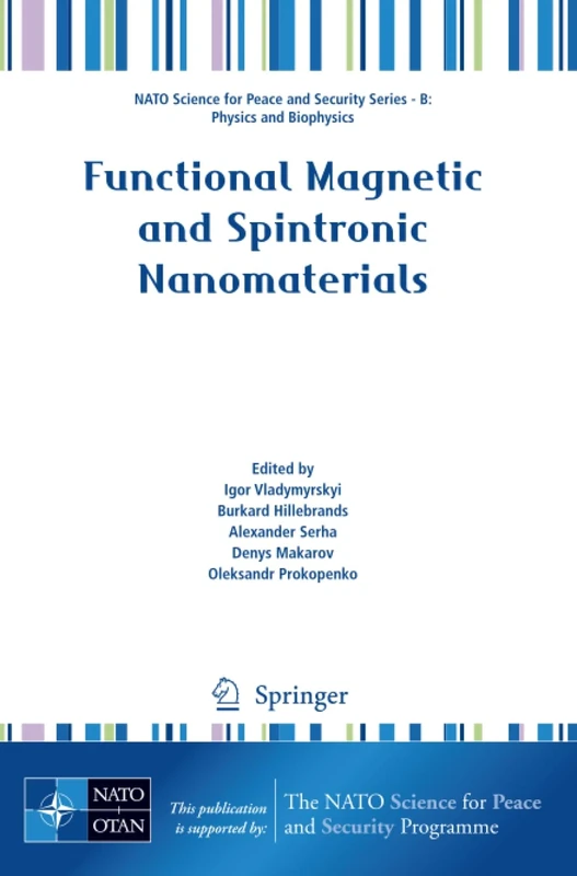 Functional Magnetic and Spintronic Nanomaterials (NATO Science for Peace and Security Series B: Physics and Biophysics)