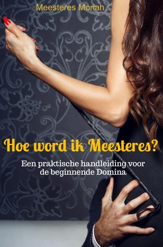 Hoe word ik meesteres?: een praktische handleiding voor de beginnende domina