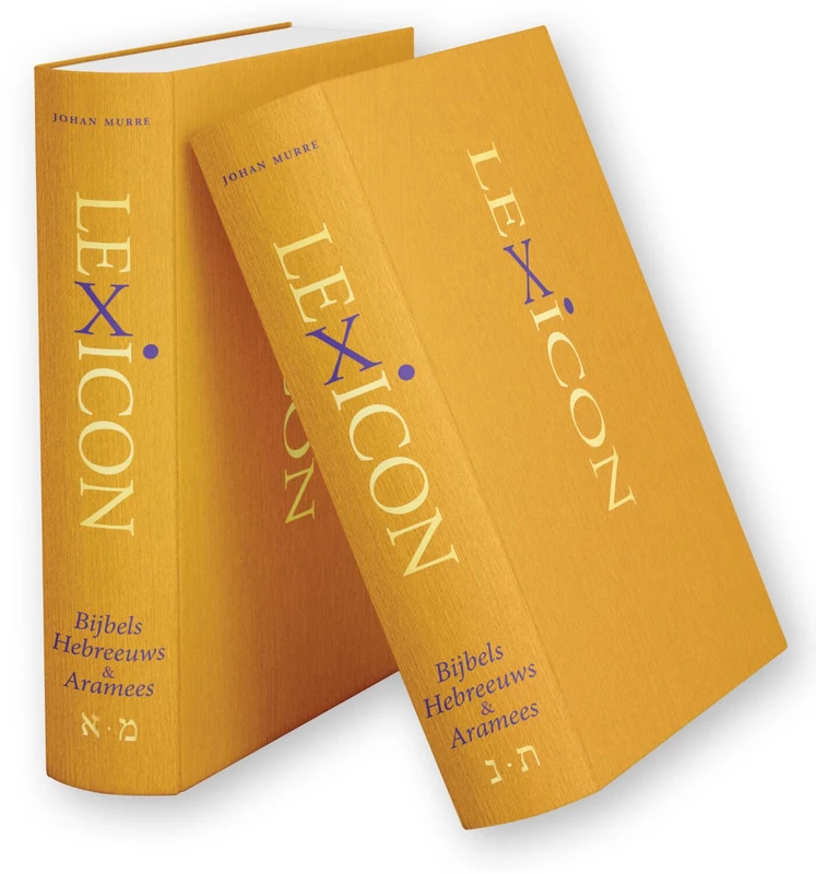 Lexicon Bijbels Hebreeuws & Aramees (2-delig): Woordenboek Hebreeuws-Nederlands