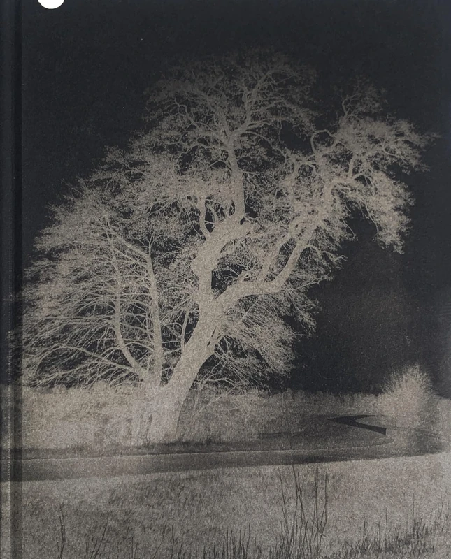 Felwa - Arja Hop, Peter Svenson