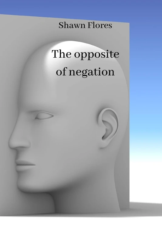 The opposite of negation - Image 1