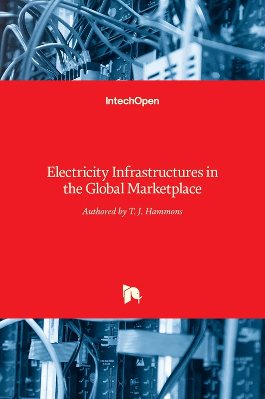 Electricity Infrastructures in the Global Marketplace
