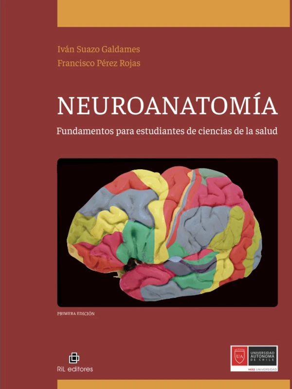 Neuroanatomía: fundamentos para estudiantes de ciencias de la salud - Image 1