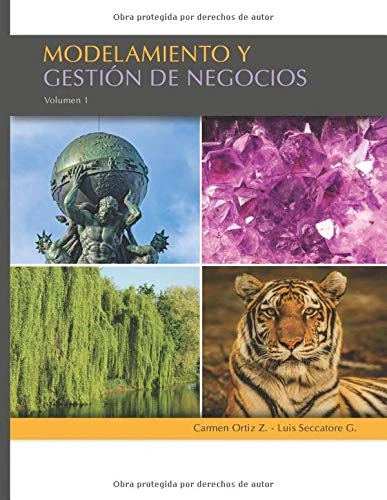 MODELAMIENTO Y GESTIÓN DE NEGOCIOS: Volumen I (Modelamiento para gestión) - Image 1