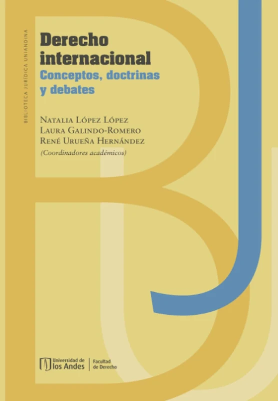 Derecho internacional. Conceptos, doctrinas y debates
