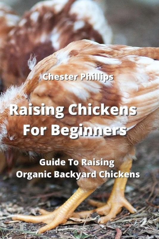 Raising Chickens For Beginners: Guide To Raising Organic Backyard Chickens - Image 1