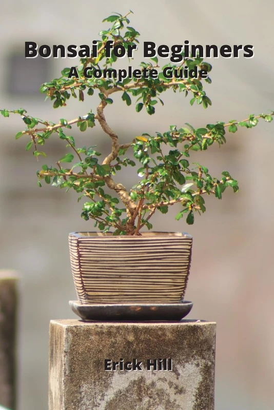 Bonsai for Beginners: A Complete Guide