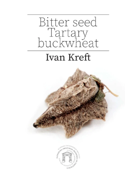 Bitter seed Tartary buckwheat