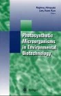 Photosynthetic Microorganisms in Environment Biotechnology