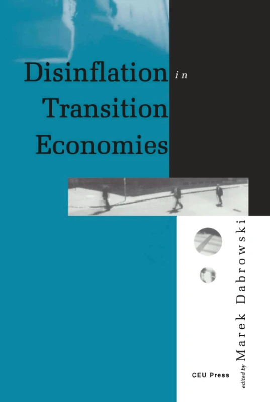 Disinflation in Transition Economies