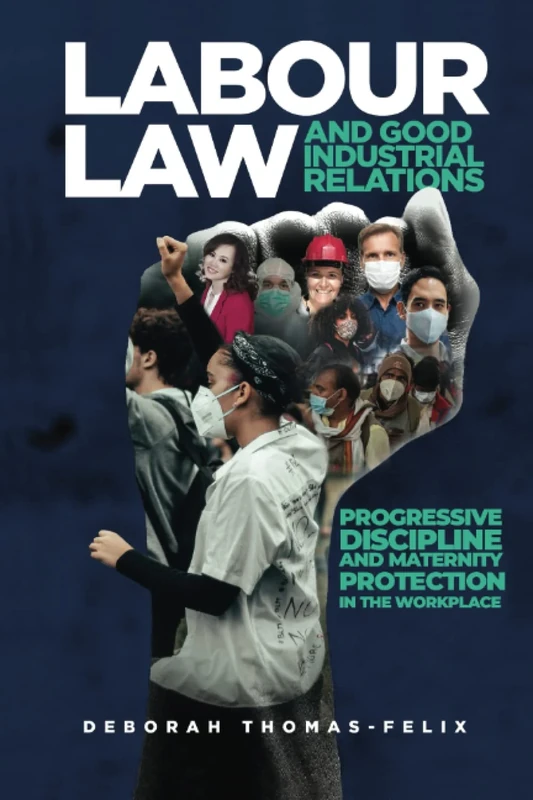 LABOUR LAW AND GOOD INDUSTRIAL RELATIONS: PROGRESSIVE DISCIPLINE AND MATERNITY PROTECTION IN THE WORKPLACE - Image 1
