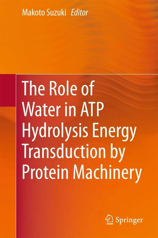 The Role of Water in ATP Hydrolysis Energy Transduction by Protein Machinery