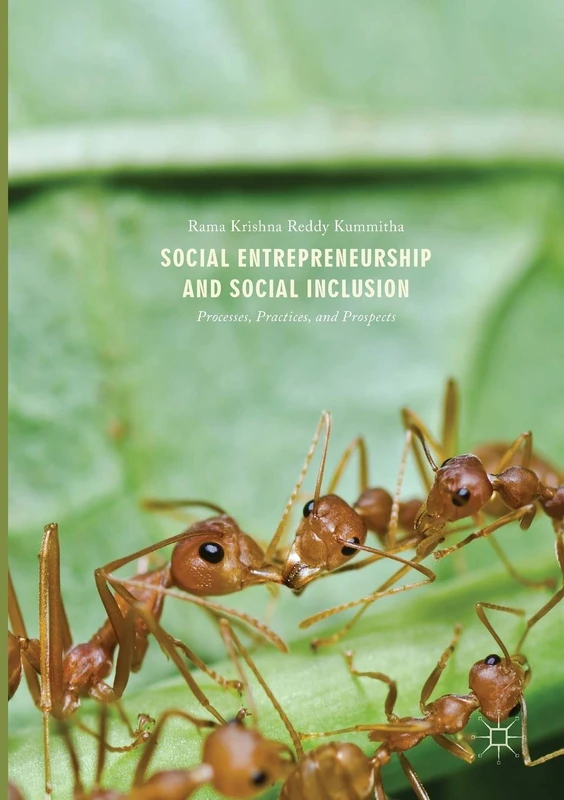 Social Entrepreneurship and Social Inclusion: Processes, Practices, and Prospects - Image 1
