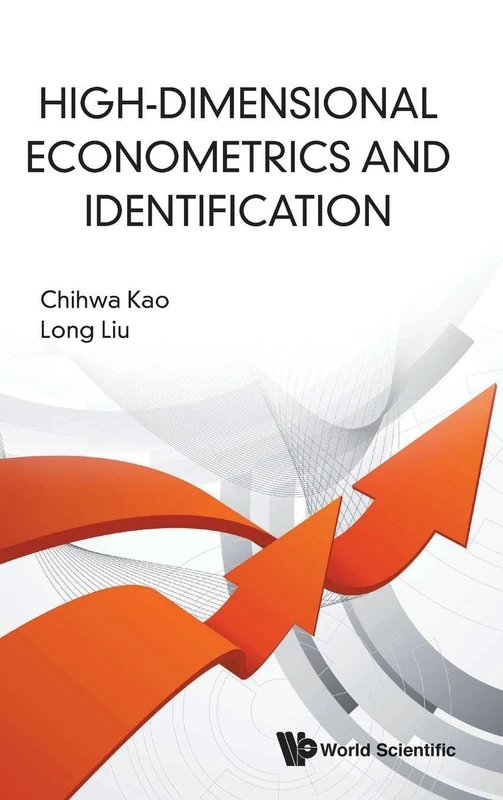 High-Dimensional Econometrics And Identification