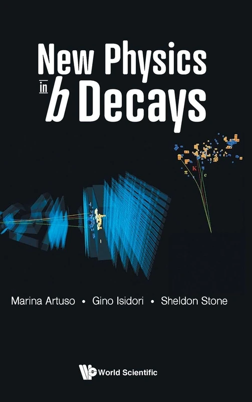 New Physics In B Decays