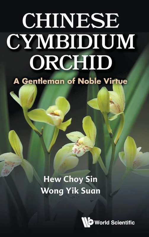 Chinese Cymbidium Orchid: A Gentleman of Noble Virtue - Image 1