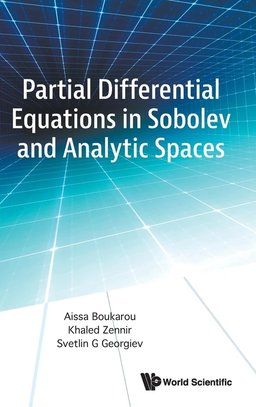 Partial Differential Equations In Sobolev And Analytic Spaces