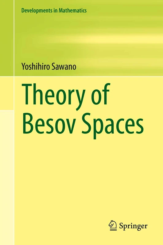 Theory of Besov Spaces: 56 (Developments in Mathematics, 56)