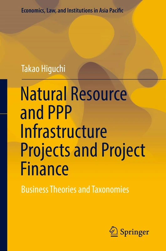 Natural Resource and PPP Infrastructure Projects and Project Finance: Business Theories and Taxonomies (Economics, Law, and Institutions in Asia Pacific)