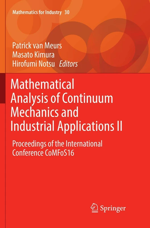 Springer Mathematical Analysis of Continuum Mechanics II Book