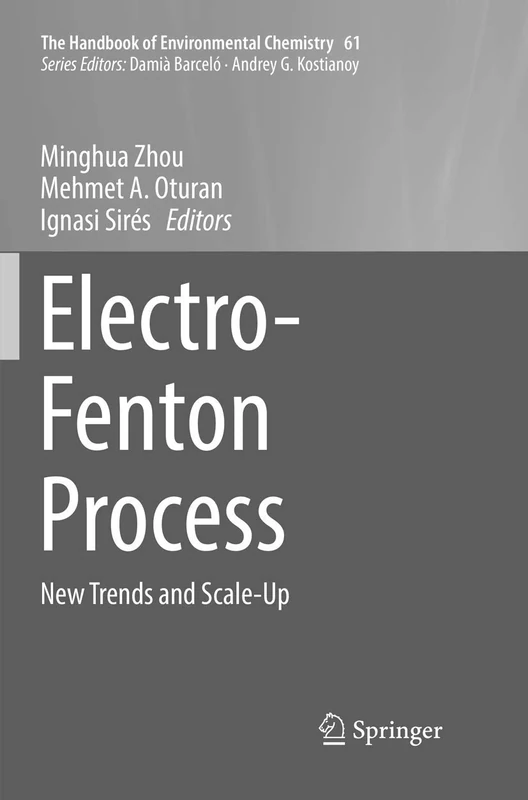 Electro-Fenton Process: New Trends and Scale-Up: 61 (The Handbook of Environmental Chemistry, 61)
