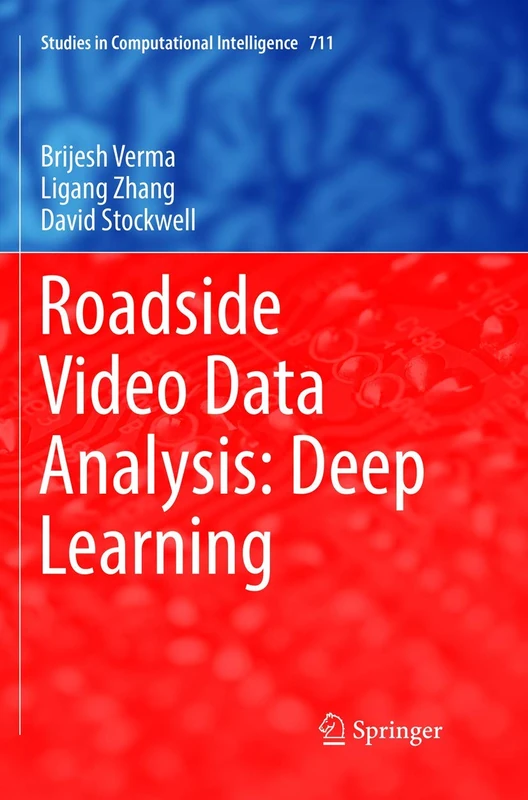 Roadside Video Data Analysis: Deep Learning: 711 (Studies in Computational Intelligence, 711)