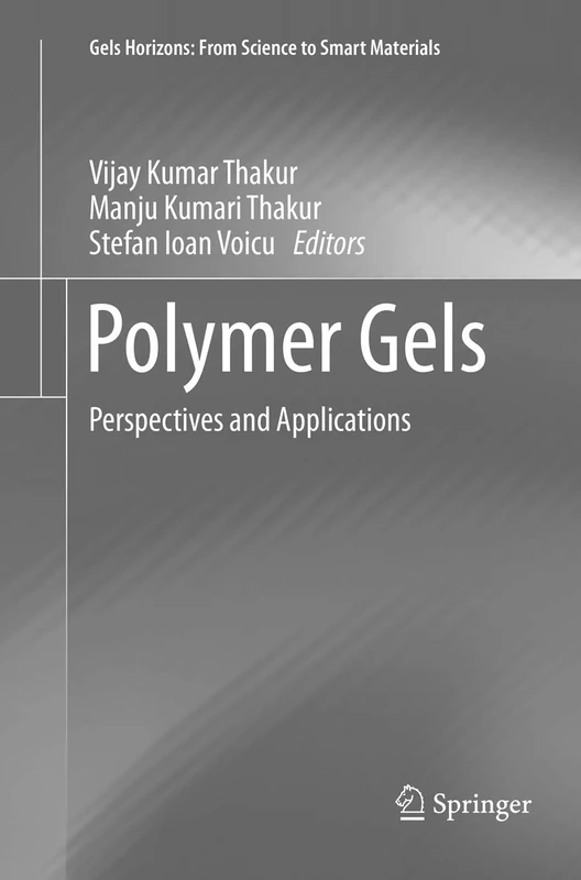 Polymer Gels: Perspectives and Applications (Gels Horizons: From Science to Smart Materials)